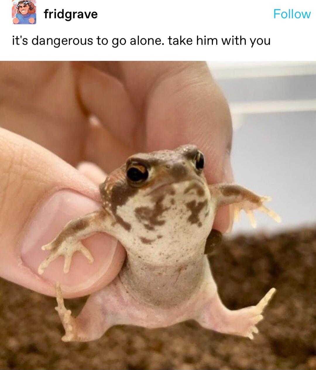 R fridgrave its dangerous to go alone take him with you