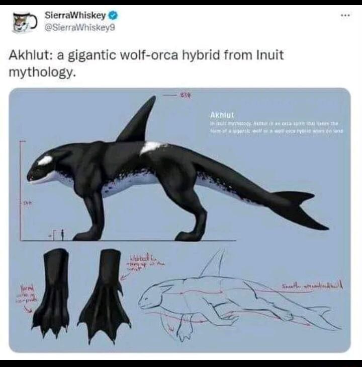 Sermiwniske Ak lut a gigantic wolf orca hybrid from Inuit mythology