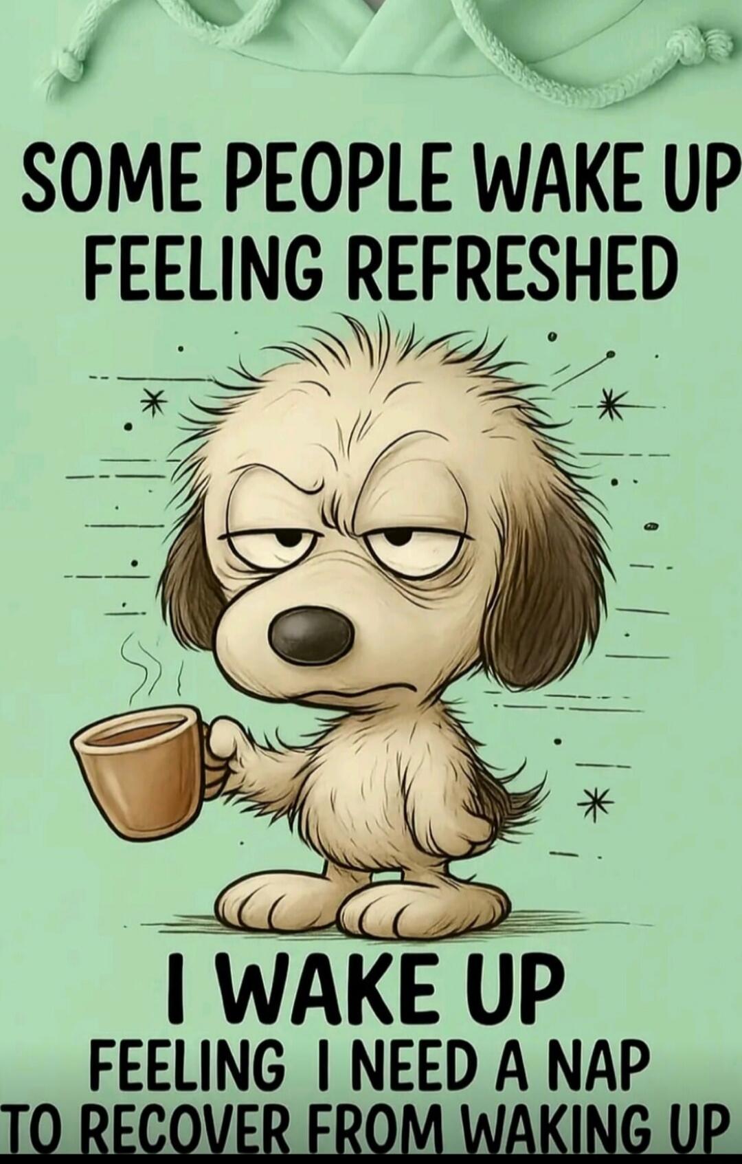 Some people wake up feeling refreshed. I wake up feeling I need a nap to recover from waking up.