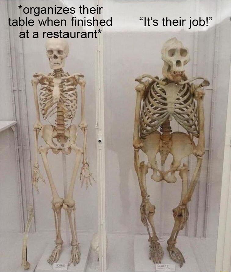 organizes their table when finished Its their job at a restaurant