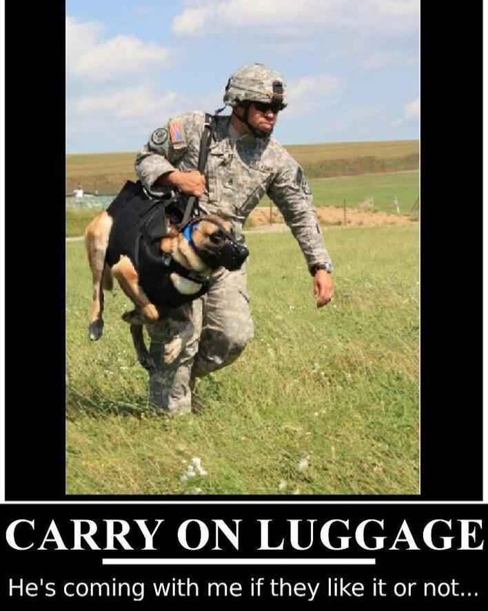 CARRY ON LUGGAGE He's coming with me if they like it or not...