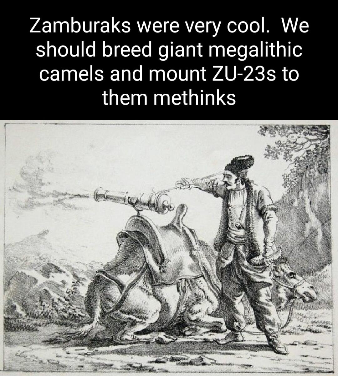 Zamburaks were very cool We should breed giant megalithic camels and mount ZU 23s to LUEIINE OIS