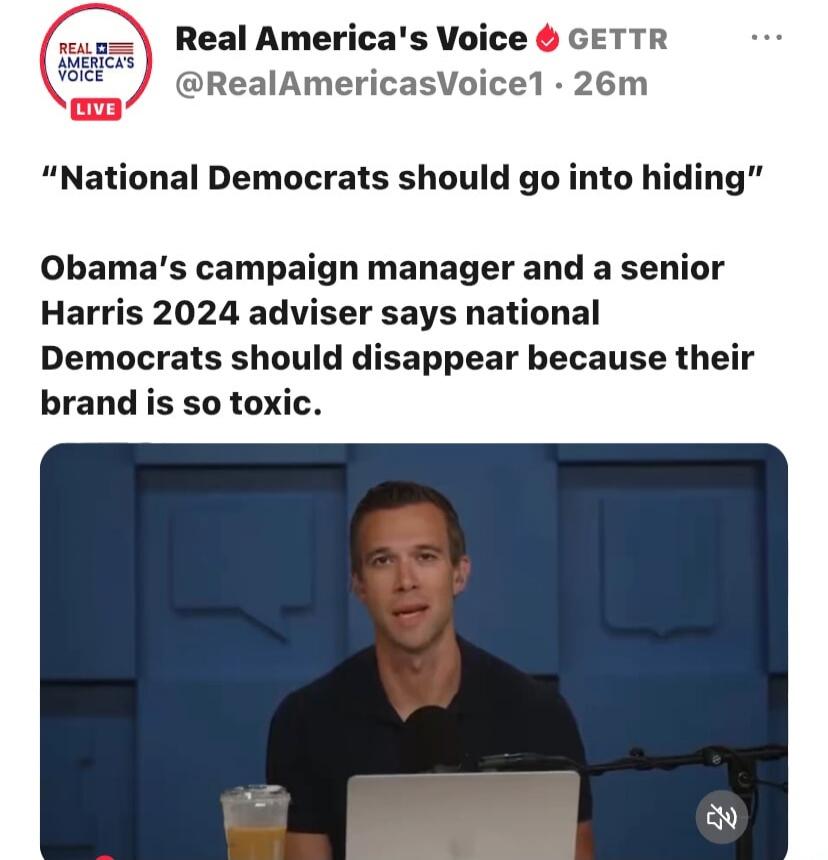 National Democrats should go into hiding. Obama's campaign manager and a senior Harris 2024 adviser says national Democrats should disappear because their brand is so toxic.