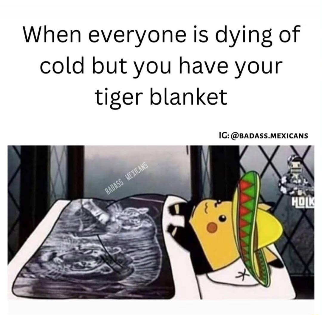 When everyone is dying of cold but you have your tiger blanket
IG:@badass Mexicans