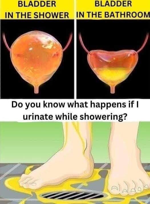 BLADDER BLADDER IN THE SHOWER IN THE BATHROOM Do you know what happens if urinate while showering