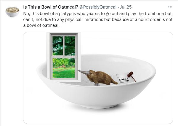 15 This a Bow of Oatmeal PossiblyOatmeal Jul 26 No this bowi of aplatypus who yearns to go out and play the trombone but ant not due to any physical mitations but because of a court order s not 2 bowiof oatmeal