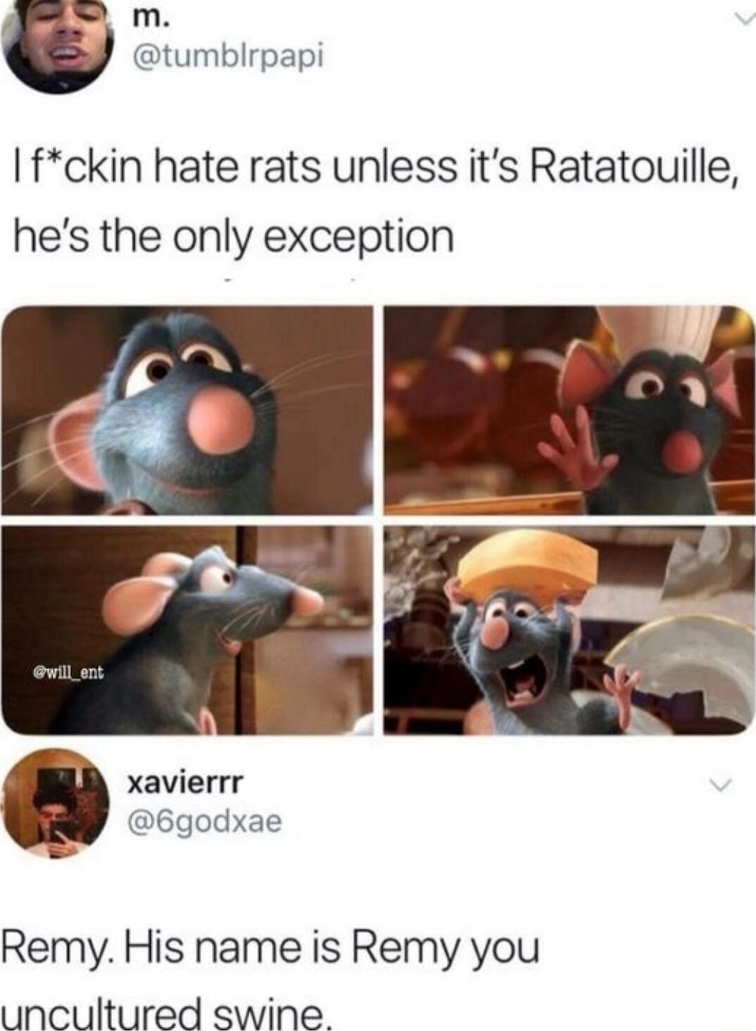 S m tumblrpapi fckin hate rats unless its Ratatouille hes the only exception xavierrr 6godxae Remy His name is Remy you uncultured swine