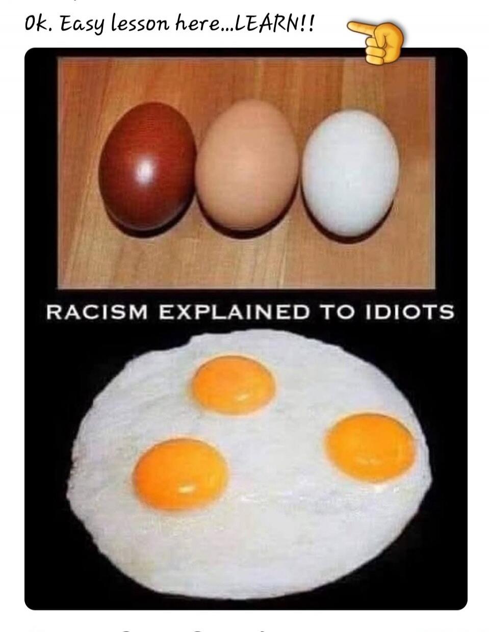 Ok. Easy lesson here...LEARN!! RACISM EXPLAINED TO IDIOTS