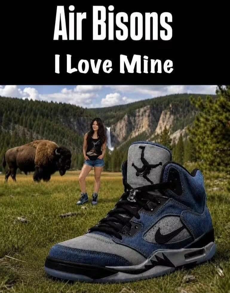 Air Bisons I Love Mine