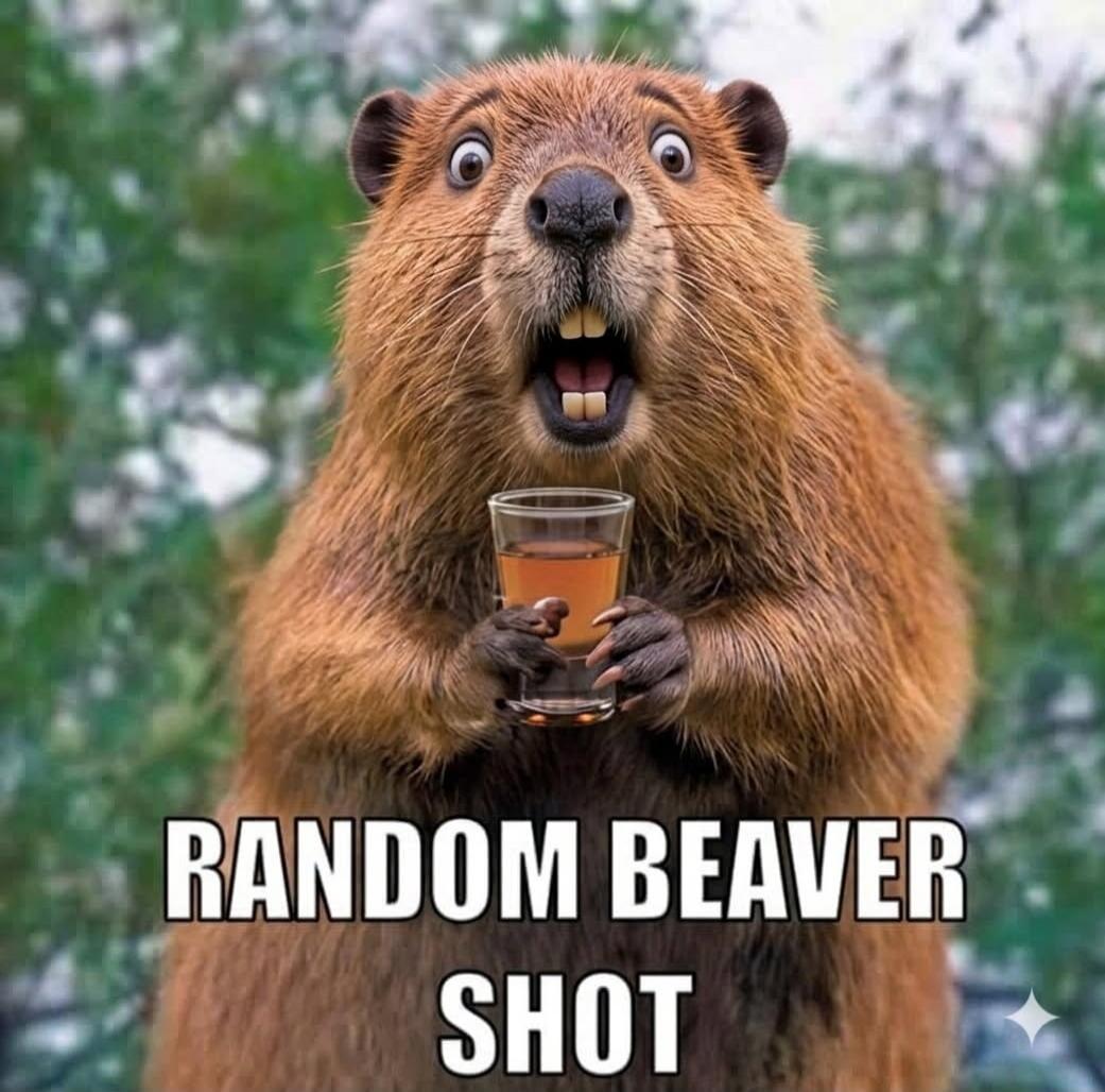 RANDOM BEAVER SHOT