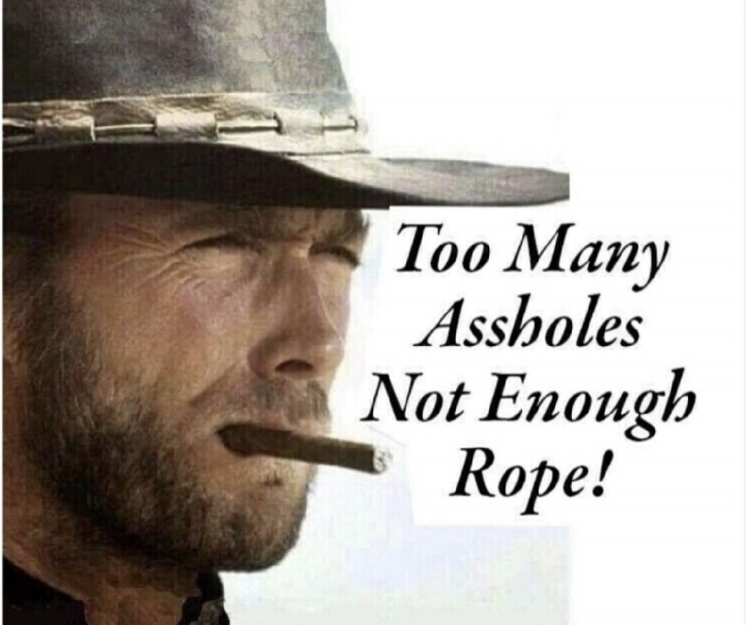 Too Many Assholes Not Enough Rope!