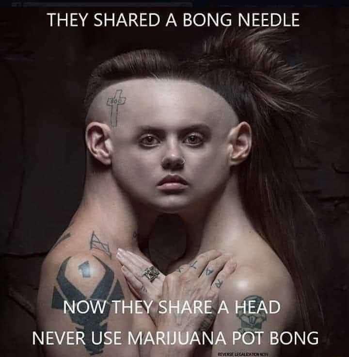 THEY SHARED A BONG NEEDLE I