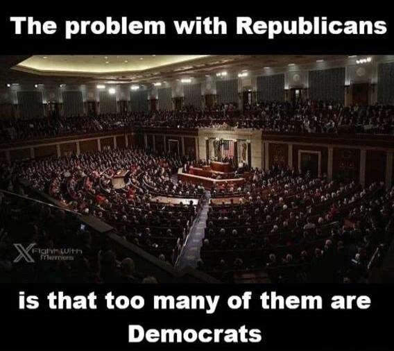 The problem with Republicans is that too many of them are Democrats