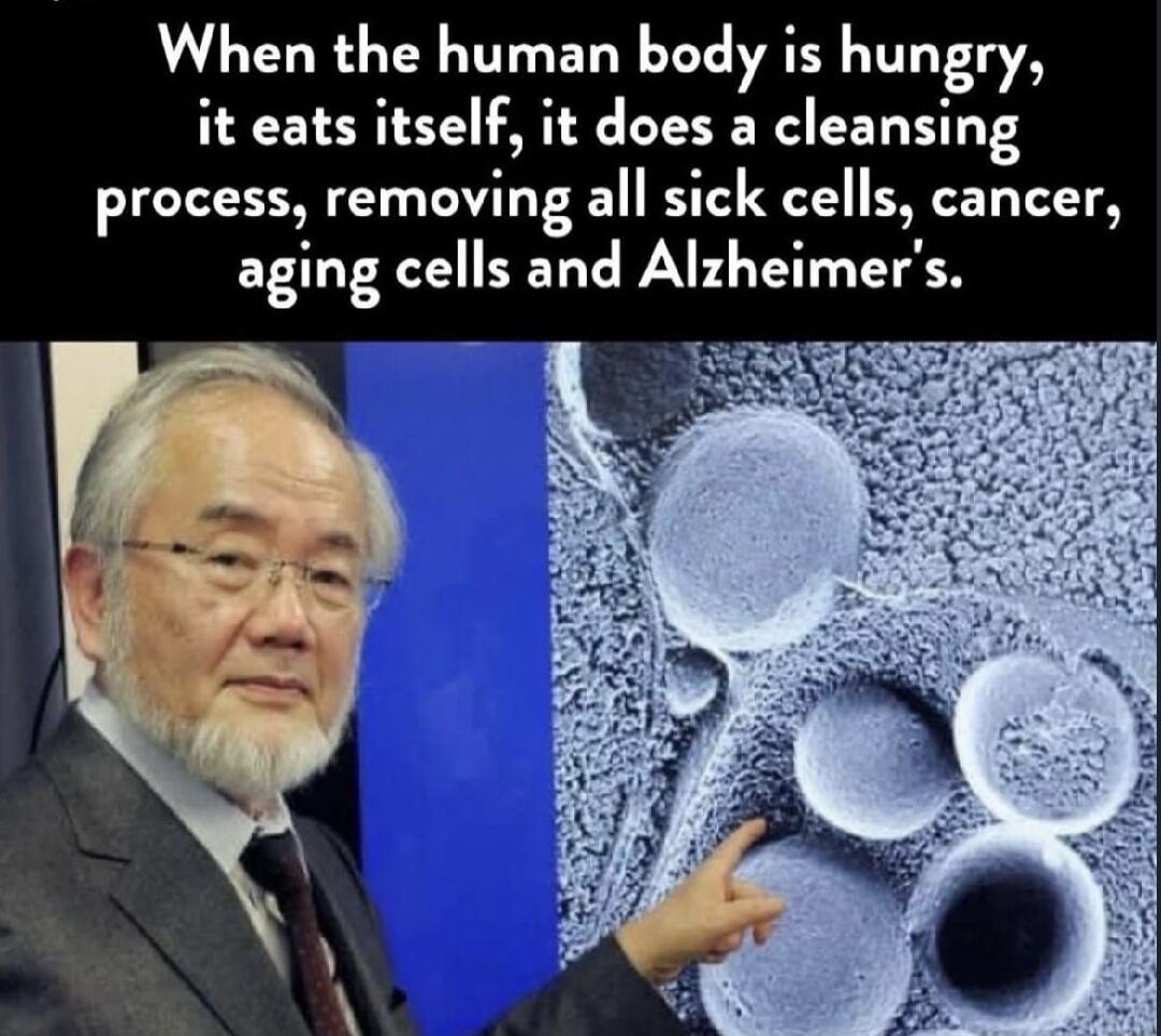 When the human body is hungry it eats itself it does a cleansing process removing all sick cells cancer aging cells and Alzheimers