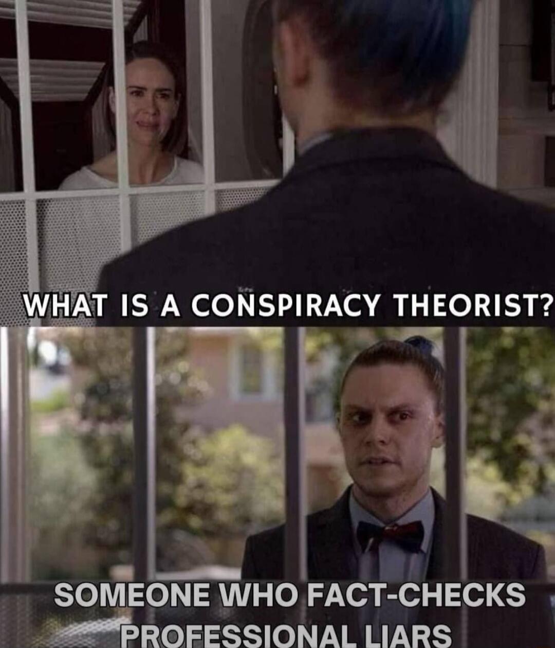 WHAT 1S A CONSPIRACY THEORIST Sl K 1 SOMEONE WHOEFACT CHECKS i3 le VT YREYNIS