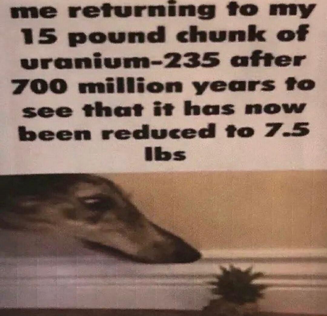 me refurning fo my 15 pound chunk of uvranivm 235 after 700 million years fo see that it has now been reduced to 75 ibs