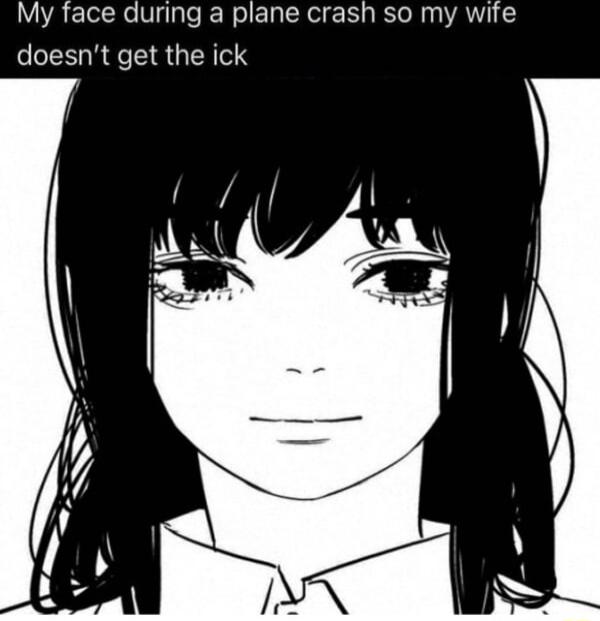 My face during a plane crash so my wife doesnt get the ick