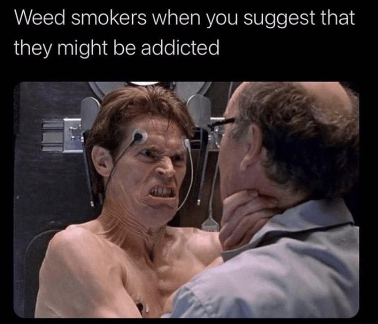 Weed smokers when you suggest that they might be addicted