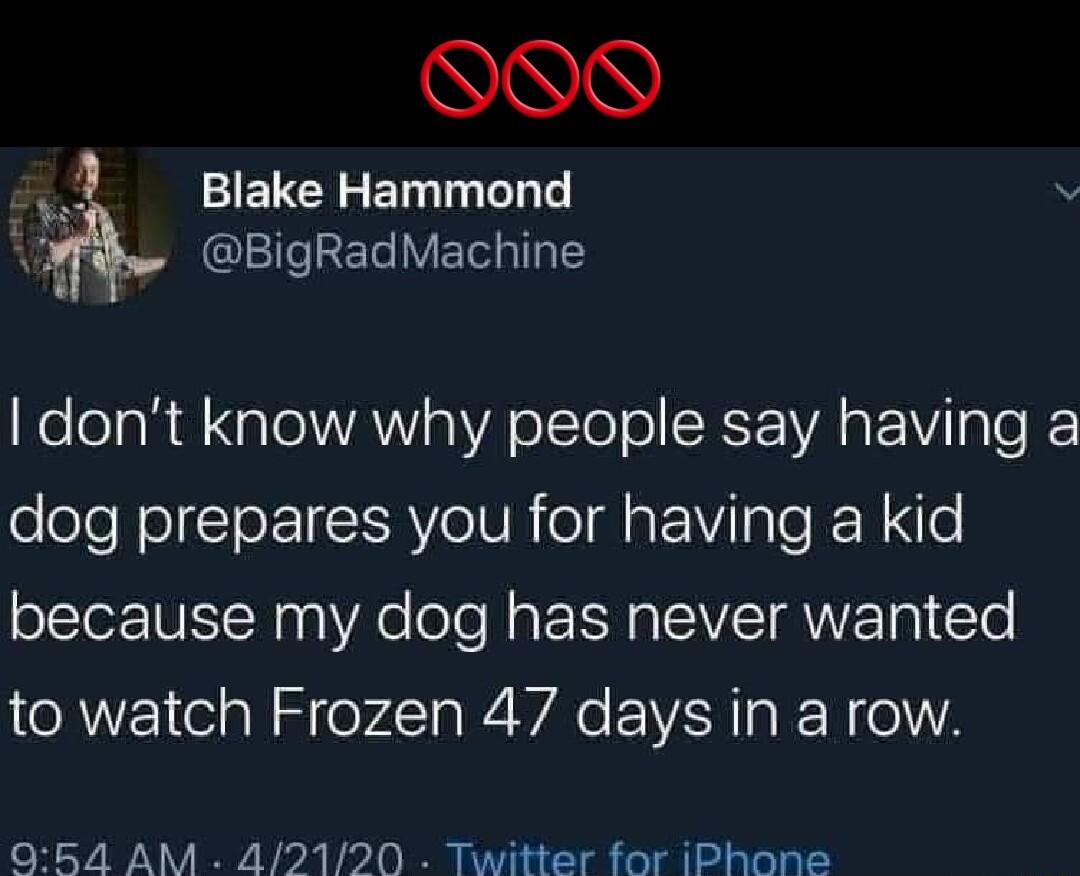 Blake Hammond v lTeETe LV EI e WelelaR ale VAW aVA o lTo o SRS IVASEWITalo R dog prepares you for having a kid because my dog has never wanted to watch Frozen 47 days in a row OQ54 AM 42120 Twitter for iPhone