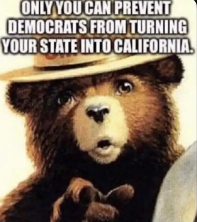 ONLY YOU CAN PREVENT DEMOCRATS FROM TURNING YOUR STATE INTO CALIFORNIA.