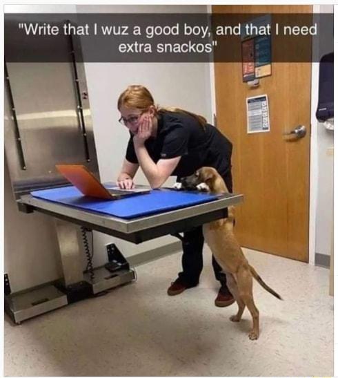 Write that wuz a good boy and that need extra snackos