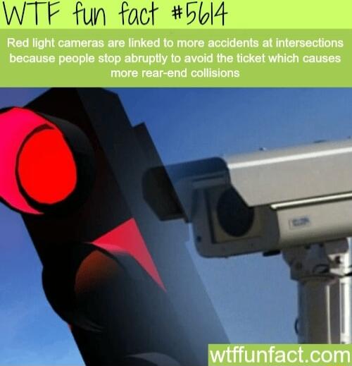 WTF fun fact bbl4 o 3 L Wi