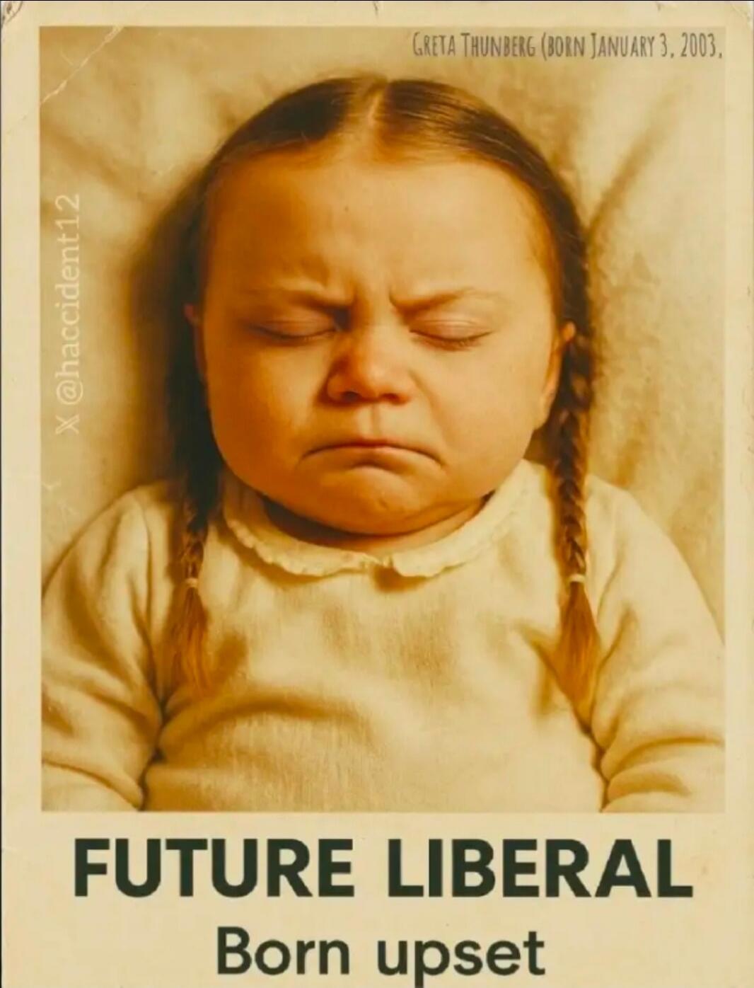 GRETA THUNBERG (BORN JANUARY 3, 2003, X @haccident12 FUTURE LIBERAL Born upset