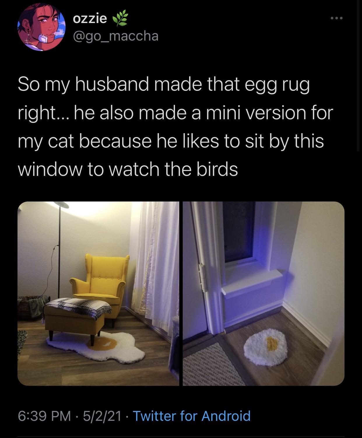 Clee Mg FTelelgF So my husband made that egg rug right he also made a mini version for my cat because he likes to sit by this WigleloVATeRZ elaRialeRoIfe S SHCICN o V IR ST VY A I KV 10 g o ale o e