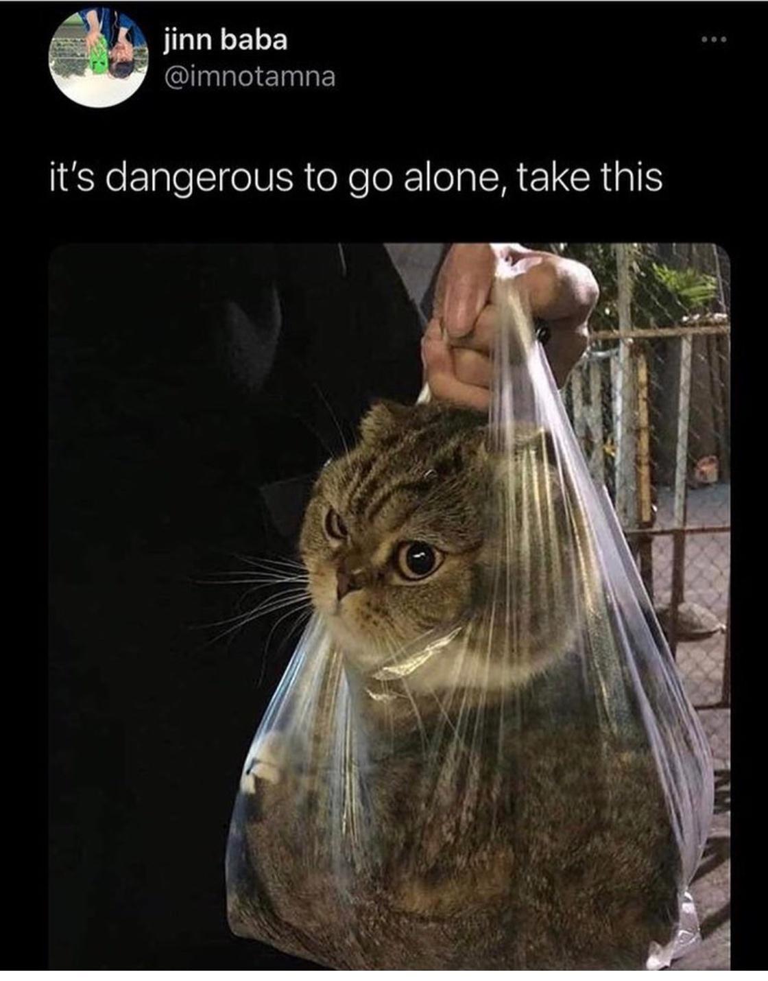 L jinn baba l ERE its dangerous to go alone take this