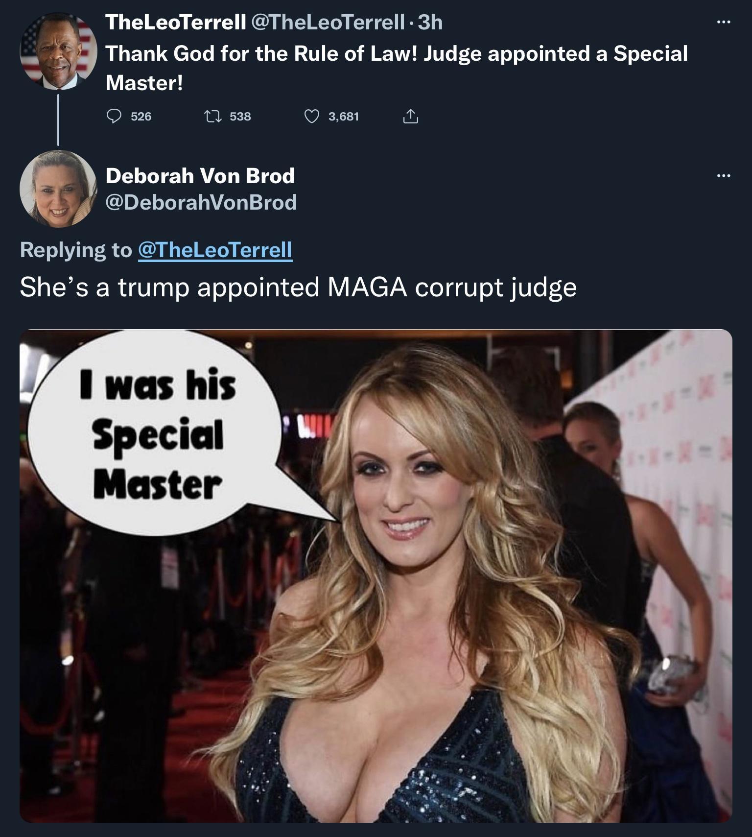 TheLeoTerrell TheLeoTerrell 3h 419 Thank God for the Rule of Law Judge appointed a Special 97 Master Om T Qumm 4 Deborah Von Brod L DeborahVonBrod Replying to TheLeoTerrell Shes a trump appointed MAGA corrupt judge 1 was his Special Master