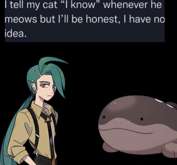 L0 Aor i B N To VYRR T EAVET g g T meows but Ill be honest have no idea