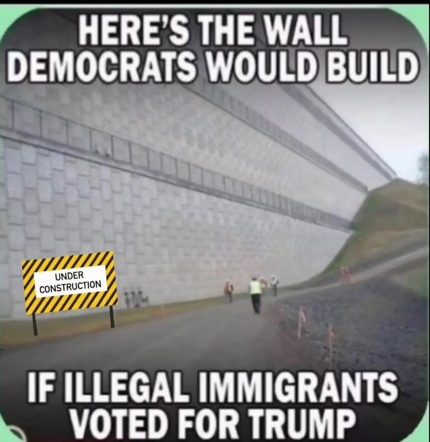 HERE'S THE WALL DEMOCRATS WOULD BUILD IF ILLEGAL IMMIGRANTS VOTED FOR TRUMP