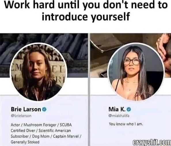 Work hard until you dont need to introduce yourself Brie Larson Mia K