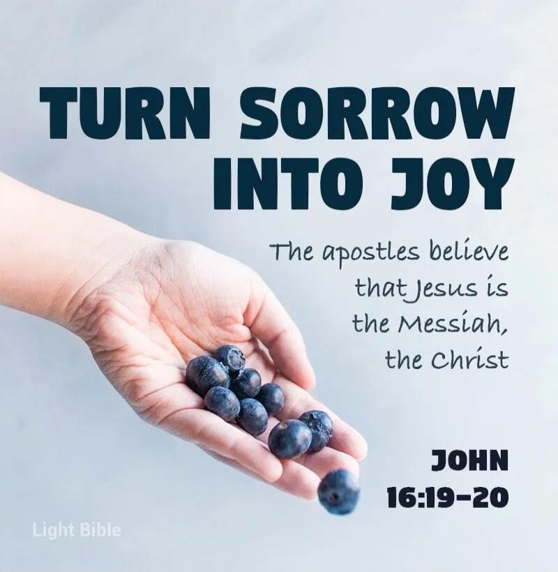 TURN SORROW INTO JOY. The apostles believe that Jesus is the Messiah, the Christ. JOHN 16:19-20. Light Bible.