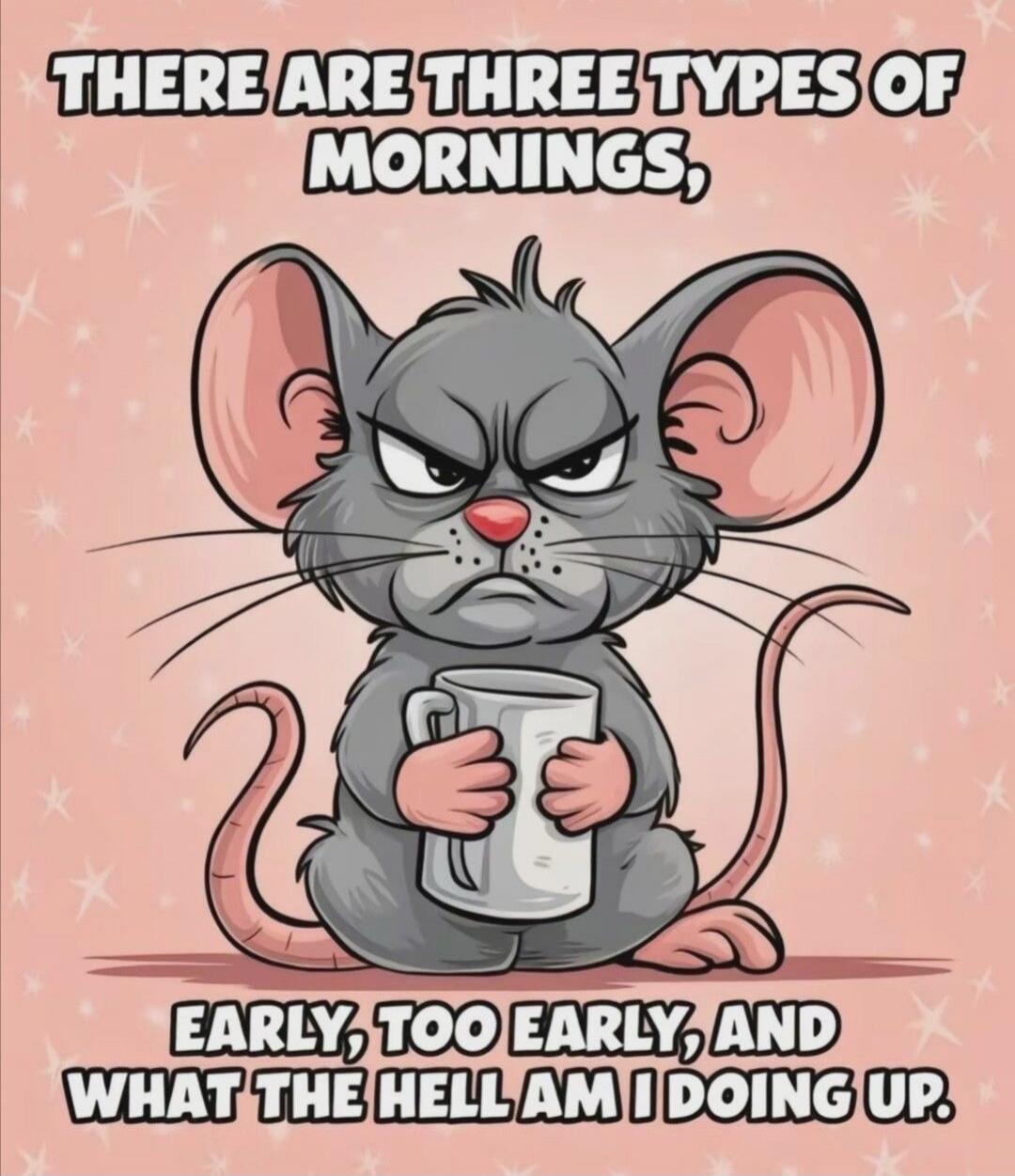 THERE ARE THREE TYPES OF MORNINGS, EARLY, TOO EARLY, AND WHAT THE HELL AM I DOING UP.