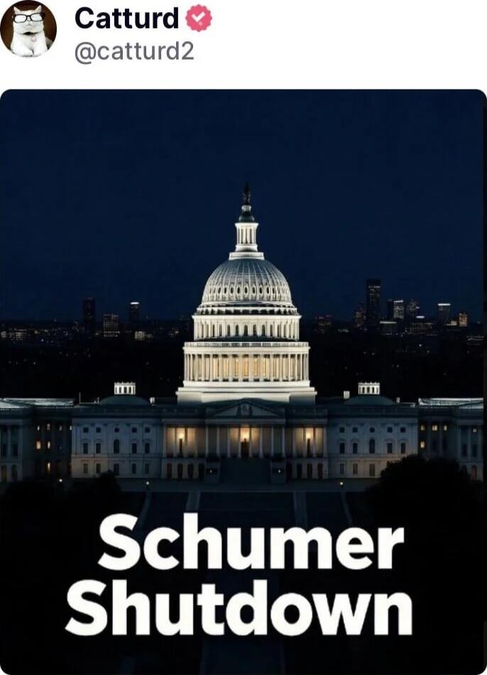 Catturd @catturd2
Schumer Shutdown