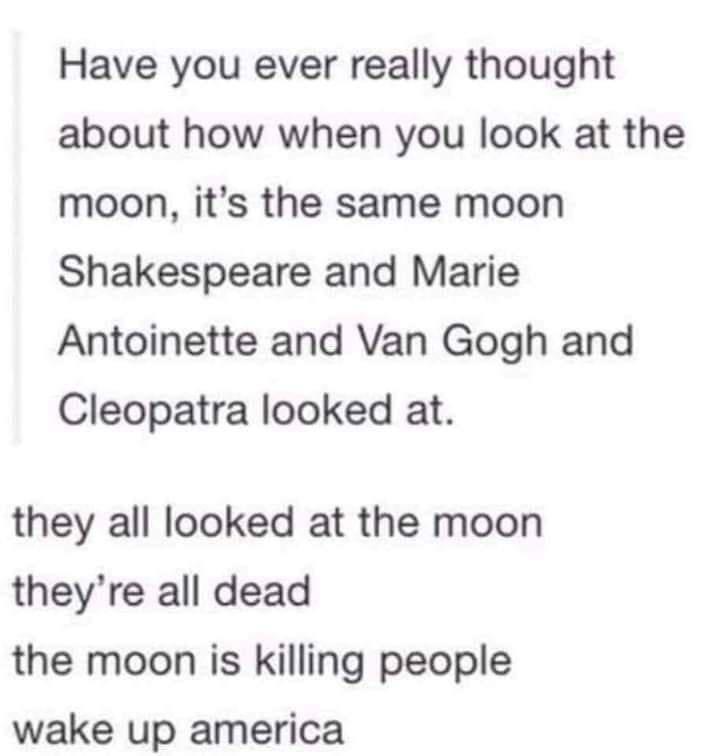 Have you ever really thought about how when you look at the moon its the same moon Shakespeare and Marie Antoinette and Van Gogh and Cleopatra looked at they all looked at the moon theyre all dead the moon is killing people wake up america