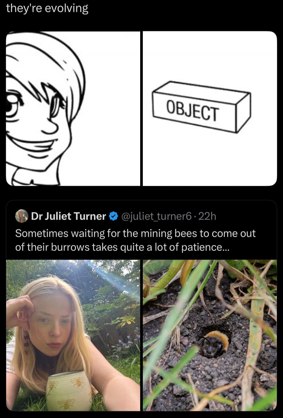 they're evolving. OBJECT. Dr Juliet Turner @juliet_turner6 · 22h. Sometimes waiting for the mining bees to come out of their burrows takes quite a lot of patience...