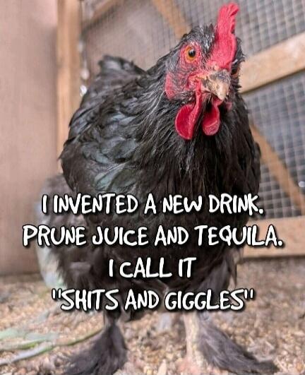 I INVENTED A NEW DRINK. PRUNE JUICE AND TEQUILA. I CALL IT 