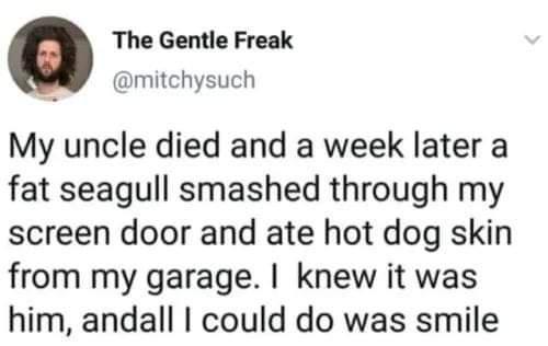 The Gentle Freak mitchysuch My uncle died and a week later a fat seagull smashed through my screen door and ate hot dog skin from my garage knew it was him andall could do was smile