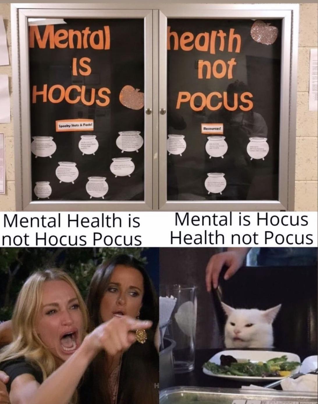 Mental Health is Mental is Hocus not Hocus Pocus _ Health not Pocus