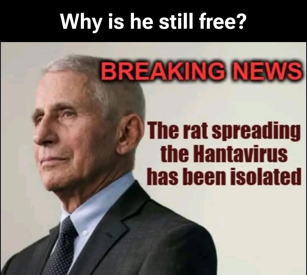 Why is he still free? BREAKING NEWS The rat spreading the Hantavirus has been isolated