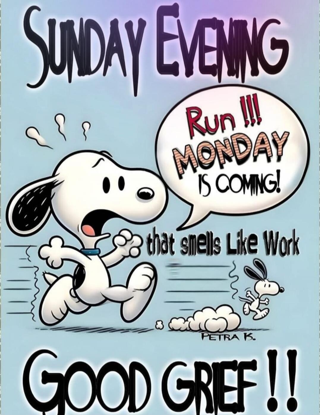 Sunday Evening Run!!! Monday is Coming! that smells Like Work GOOD GRIEF !!