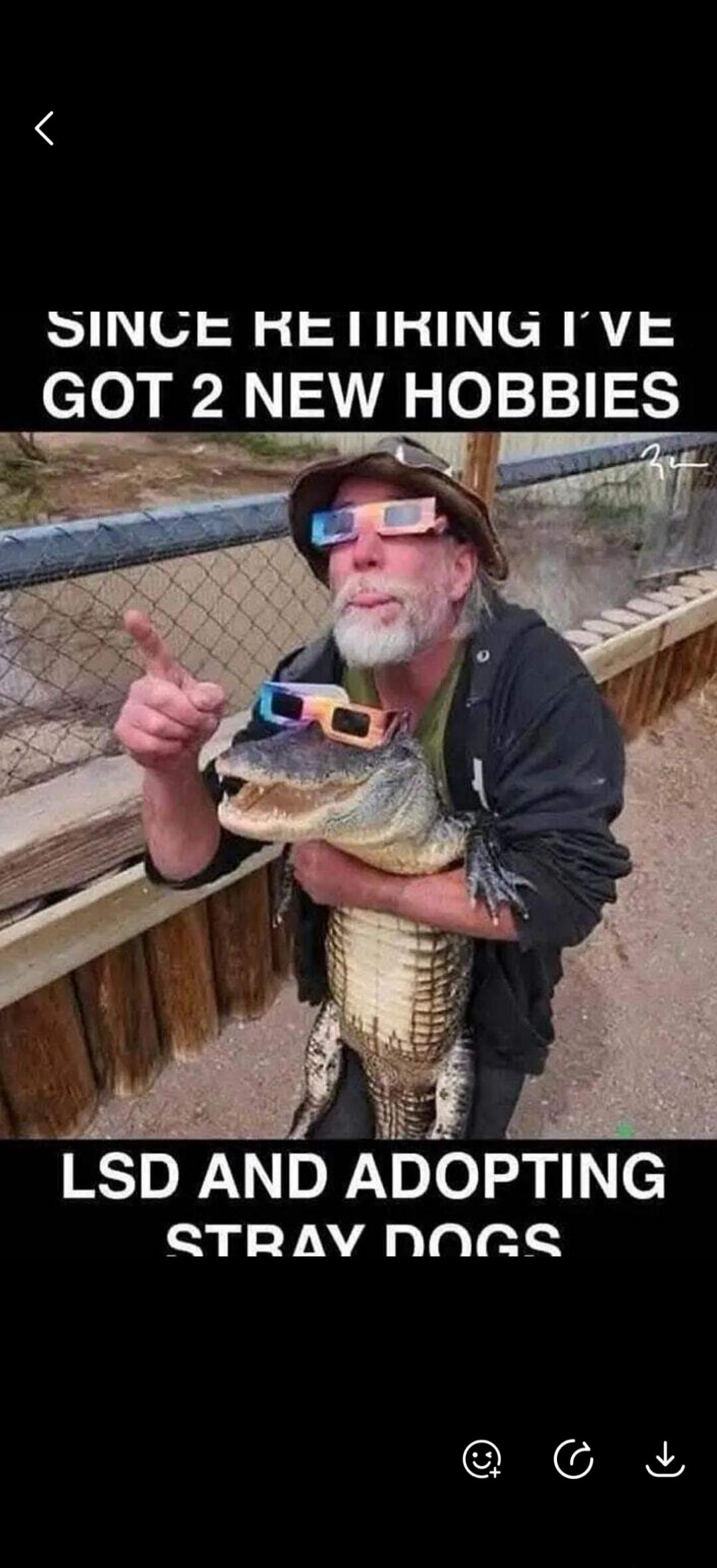 SINCE RETIRING I'VE GOT 2 NEW HOBBIES LSD AND ADOPTING STRAY DOGS