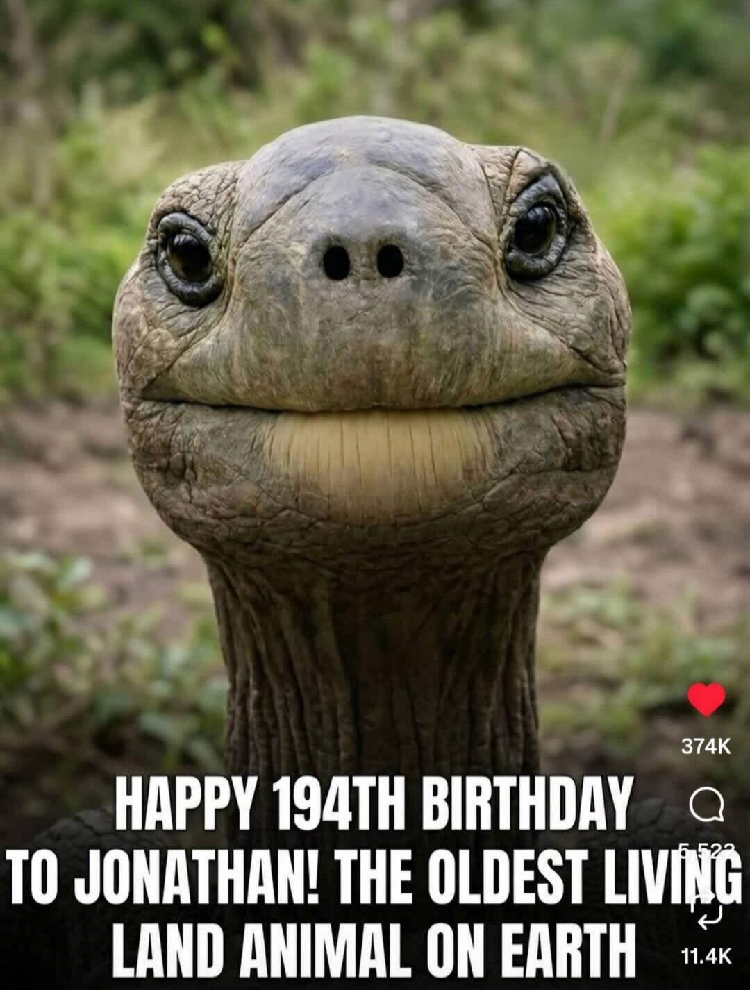 HAPPY 194TH BIRTHDAY TO JONATHAN! THE OLDEST LIVING LAND ANIMAL ON EARTH