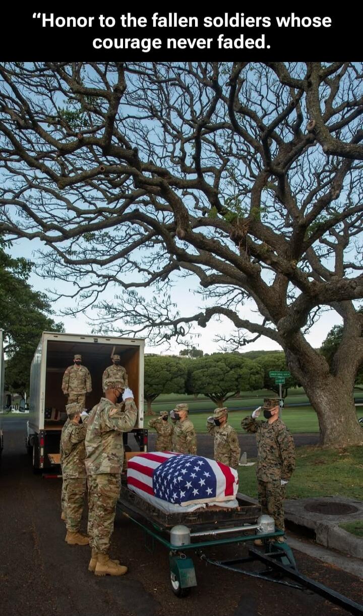Honor to the fallen soldiers whose courage never faded.