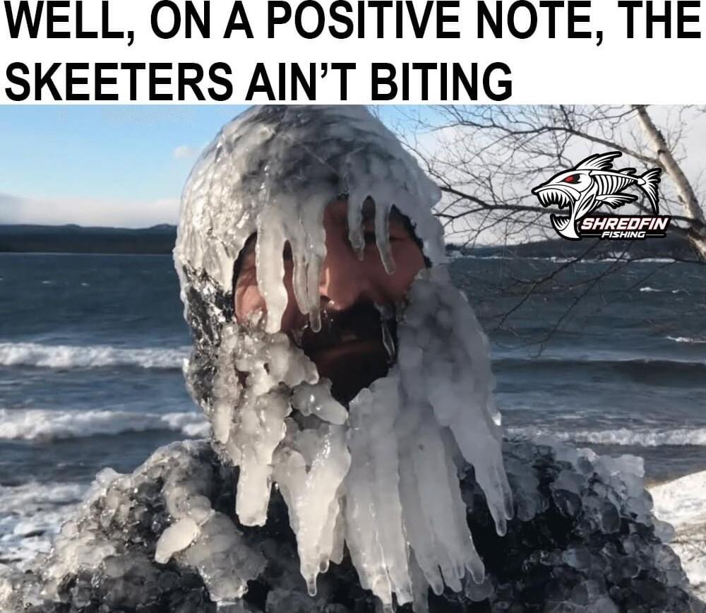 ONA PO NO SKEETERS AINT BITING Vol