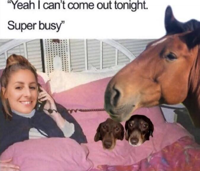 Yeah I can’t come out tonight. Super busy