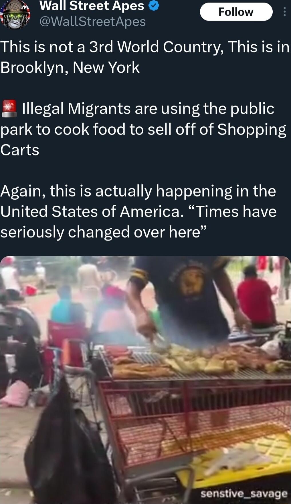 Wall Street Apes NEISEEVNTS This is not a 3rd World Country This is in Brooklyn New York lllegal Migrants are using the public park to cook food to sell off of Shopping Carts Again this is actually happening in the United States of America Times have seriously changed over here i senstive_savage