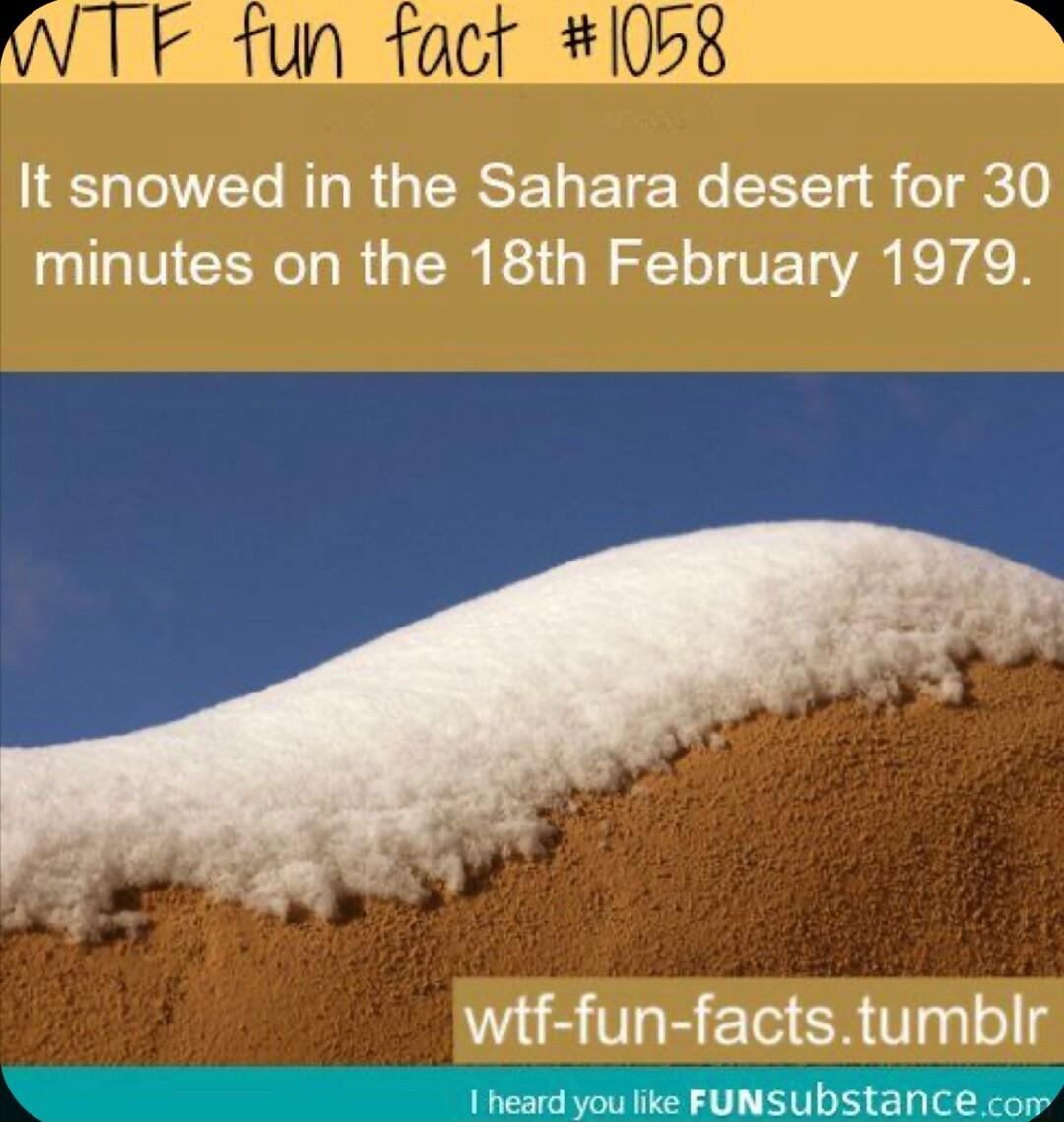 W TF tun fact 1058 2 ard you like FUNSubstance cos